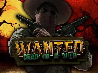 Wanted Dead or a Wild game thumbnail