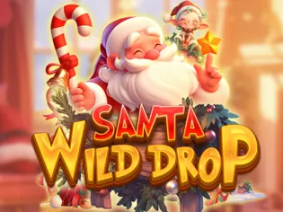 Santa Wild Drop game thumbnail
